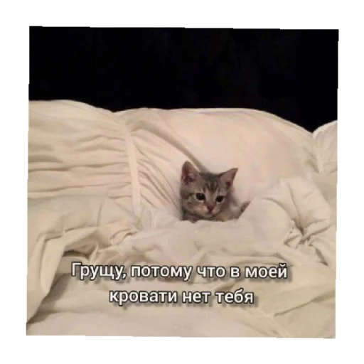 🥺 Стикер «For every occasion 3» для Telegram