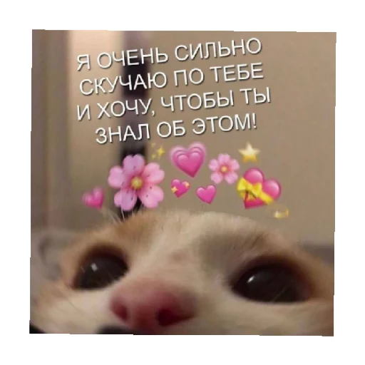 🥺 Стикер «For every occasion 3» для Telegram