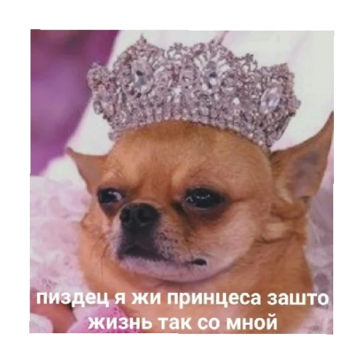 😣 Стикер «For every occasion 3» для Telegram