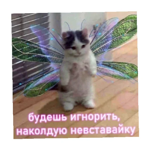 👀 Стикер «For every occasion 3» для Telegram