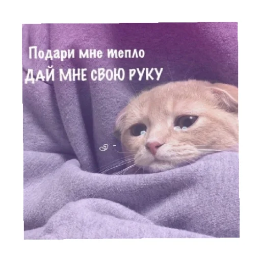 🤝 Стикер «For every occasion 3» для Telegram