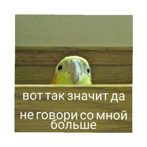😒 Стикер «For every occasion 3» для Telegram