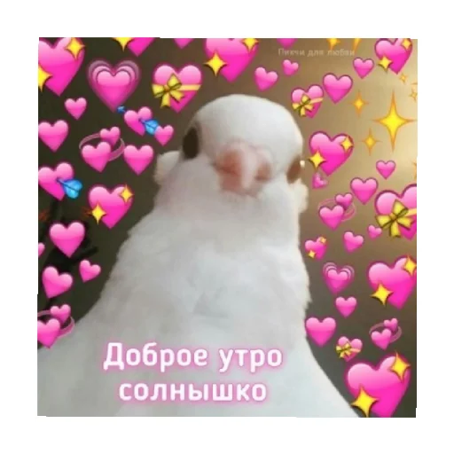 🥰 Стикер «For every occasion 3» для Telegram