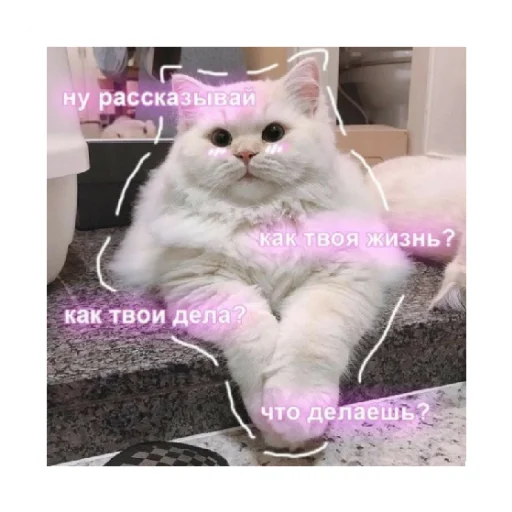 🥺 Стикер «For every occasion 3» для Telegram
