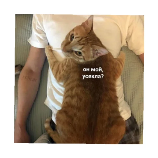 😠 Стикер «For every occasion 3» для Telegram