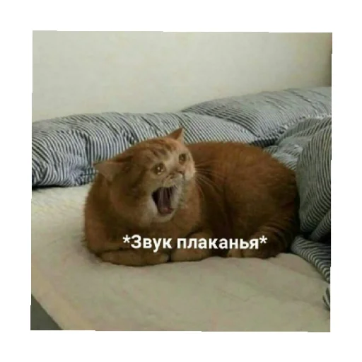 😢 Стикер «For every occasion 3» для Telegram