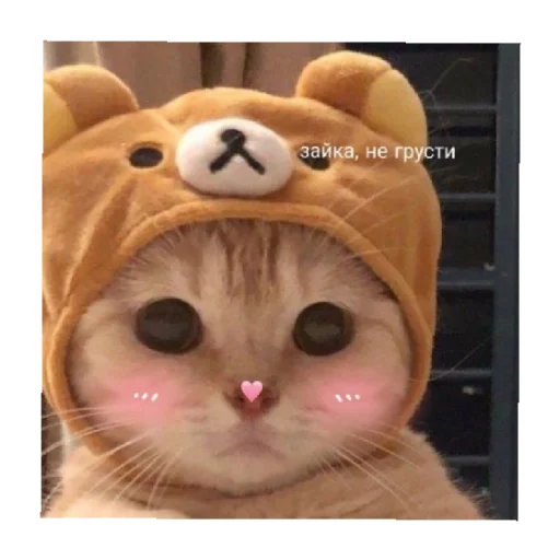 🥰 Стикер «For every occasion 3» для Telegram
