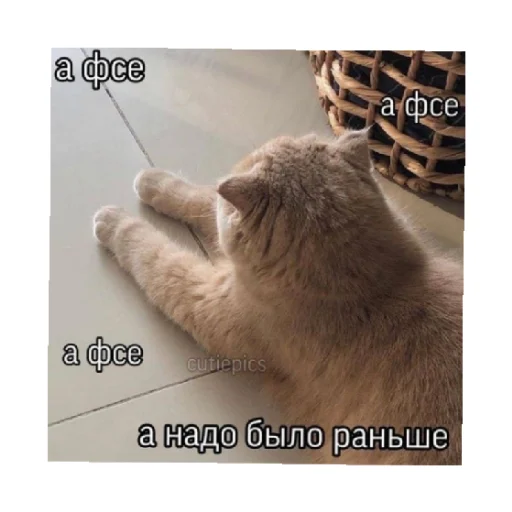 😒 Стикер «For every occasion 3» для Telegram
