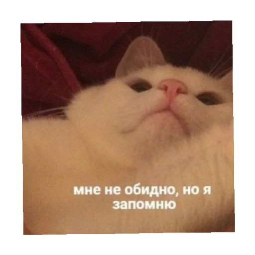 😐 Стикер «For every occasion 3» для Telegram