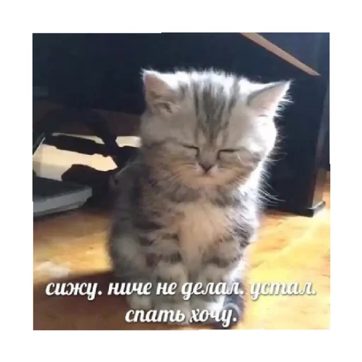🥺 Стикер «For every occasion 3» для Telegram