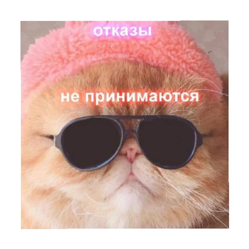 😎 Стикер «For every occasion 3» для Telegram