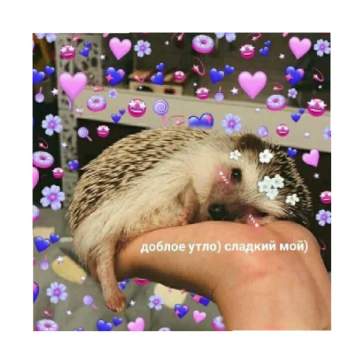 🥰 Стикер «For every occasion 3» для Telegram