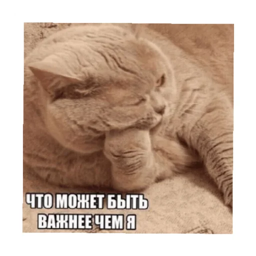 😒 Стикер «For every occasion 3» для Telegram