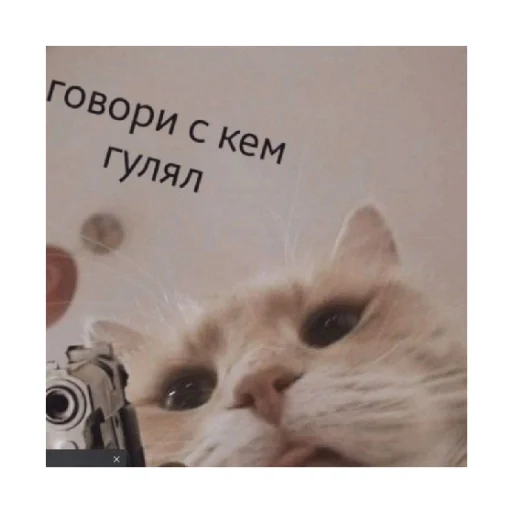 🔫 Стикер «For every occasion 3» для Telegram