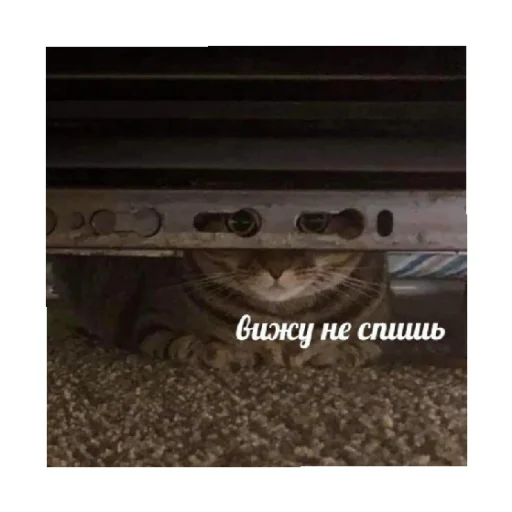 👀 Стикер «For every occasion 3» для Telegram