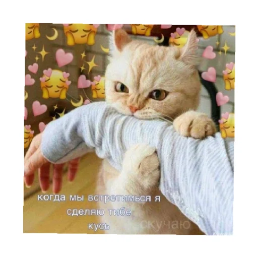 🥰 Стикер «For every occasion 3» для Telegram