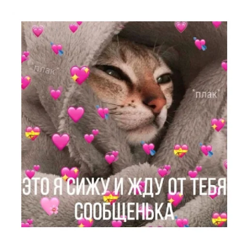 🥺 Стикер «For every occasion 3» для Telegram