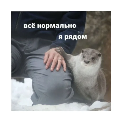 🥺 Стикер «For every occasion 3» для Telegram