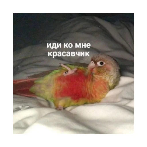 👀 Стикер «For every occasion 3» для Telegram