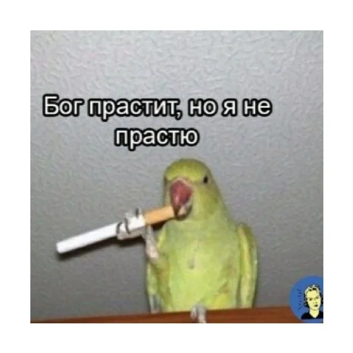 🚬 Стикер «For every occasion 3» для Telegram