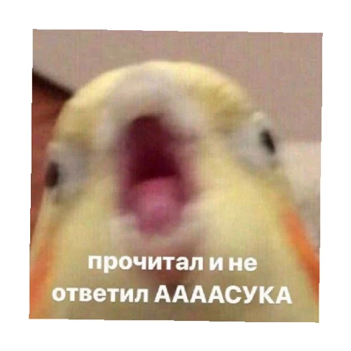 🤬 Стикер «For every occasion 3» для Telegram