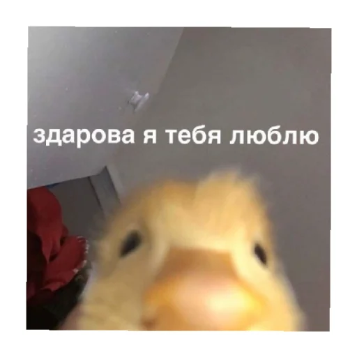 Стикерпак For every occasion 3 для Telegram