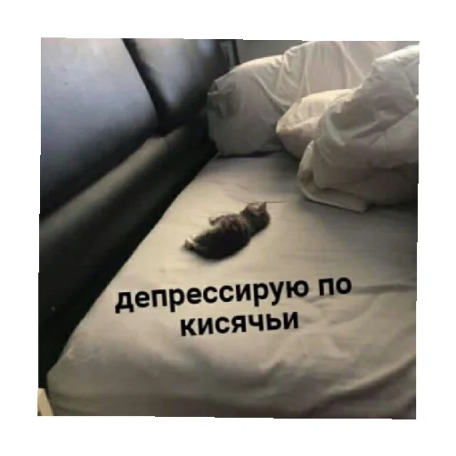 😣 Стикер «For every occasion 3» для Telegram