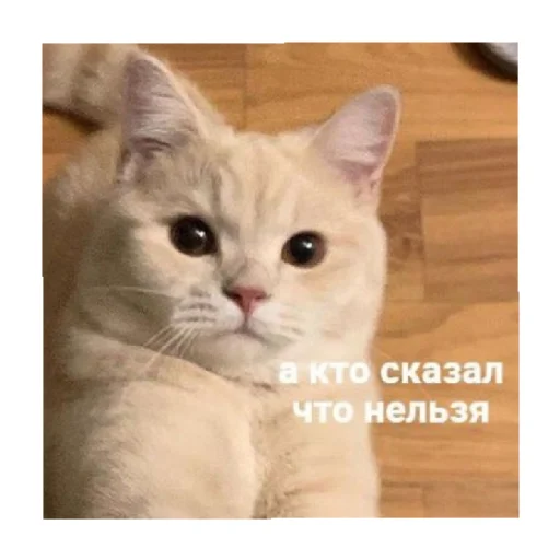 👀 Стикер «For every occasion 3» для Telegram