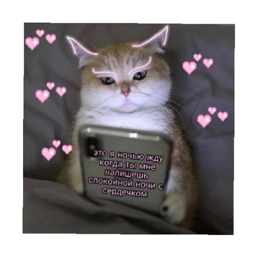 🥰 Стикер «For every occasion 3» для Telegram