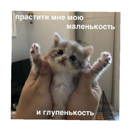 🥺 Стикер «For every occasion 3» для Telegram