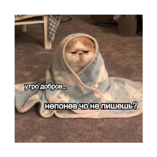 🤨 Стикер «For every occasion 3» для Telegram