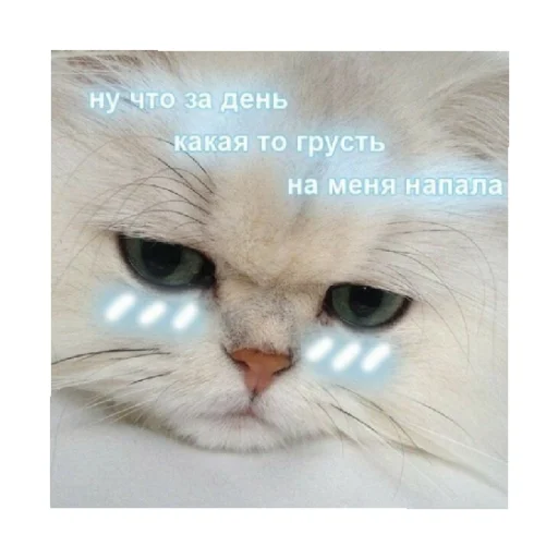 😔 Стикер «For every occasion 3» для Telegram