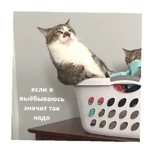 👀 Стикер «For every occasion 3» для Telegram