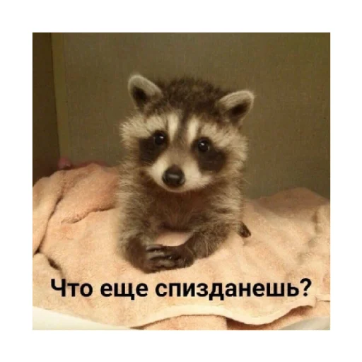 🗿 Стикер «For every occasion 3» для Telegram