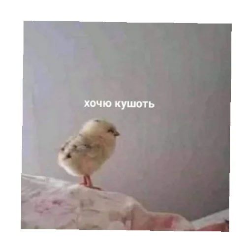 🥺 Стикер «For every occasion 3» для Telegram