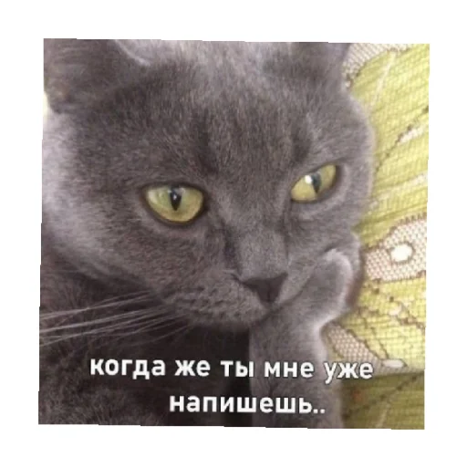 😔 Стикер «For every occasion 5» для Telegram