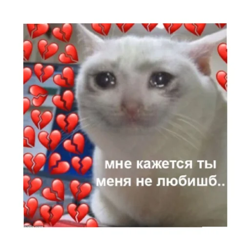💔 Стикер «For every occasion 5» для Telegram