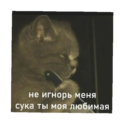 😠 Стикер «For every occasion 5» для Telegram