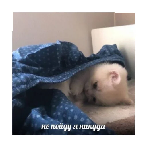 😔 Стикер «For every occasion 5» для Telegram