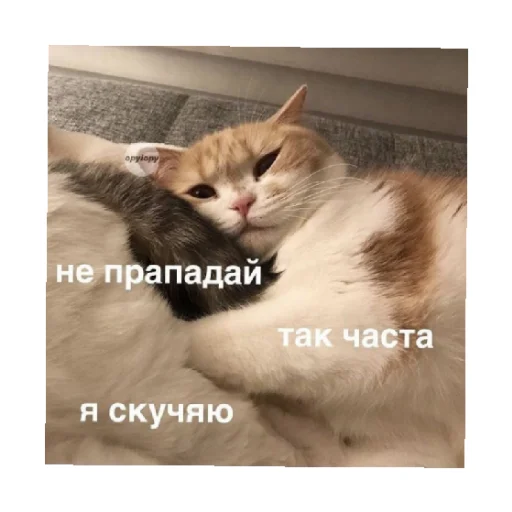 Стикерпак For every occasion 5 для Telegram — скачать