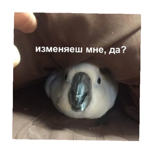 😒 Стикер «For every occasion 5» для Telegram