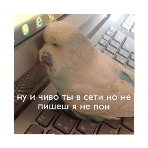 🥺 Стикер «For every occasion 5» для Telegram