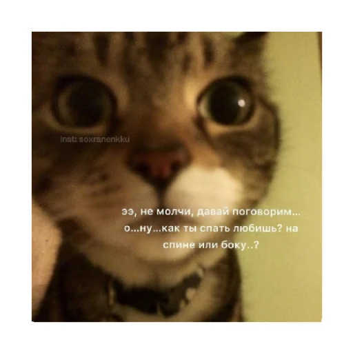 🥺 Стикер «For every occasion 5» для Telegram