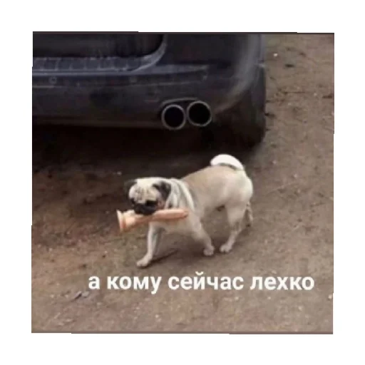 👀 Стикер «For every occasion 5» для Telegram