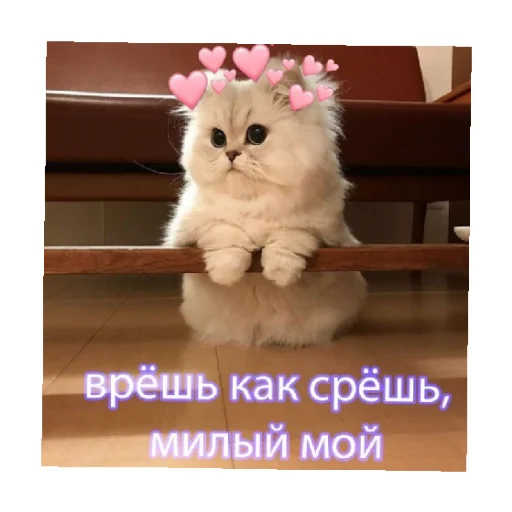 😒 Стикер «For every occasion 5» для Telegram