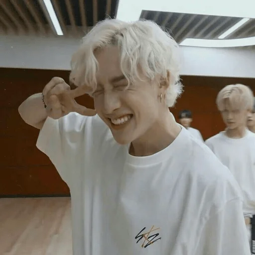 Стикерпак Stray Kids SKZ СКЗ для Telegram