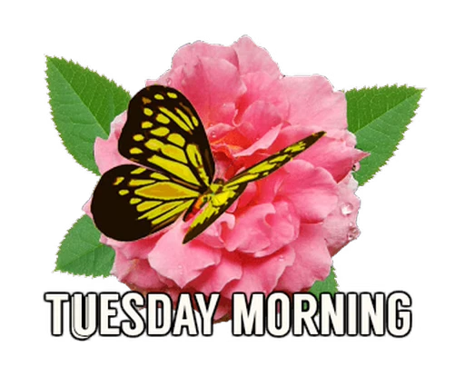 🦋 Стикер «Flowers» для Telegram