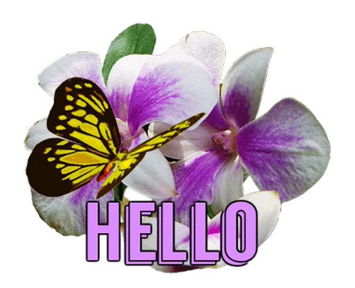 🦋 Стикер «Flowers» для Telegram