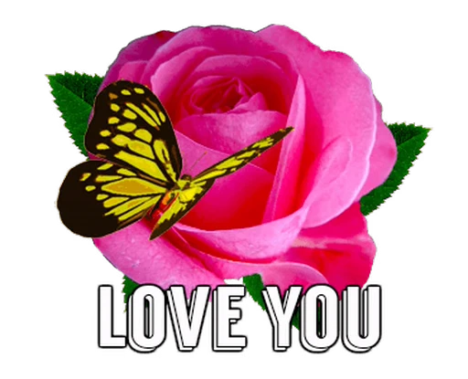 🦋 Стикер «Flowers» для Telegram