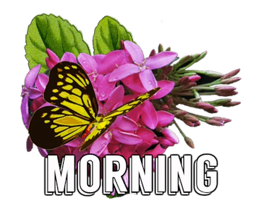 🦋 Стикер «Flowers» для Telegram